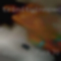 Down to fuck BBW in area