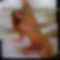 Naked woman Dwarf